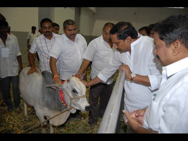 ఫొటోలు: కిరణ్ అప్పుడు సిగ్గరి, ఇప్పుడు ఇలా..