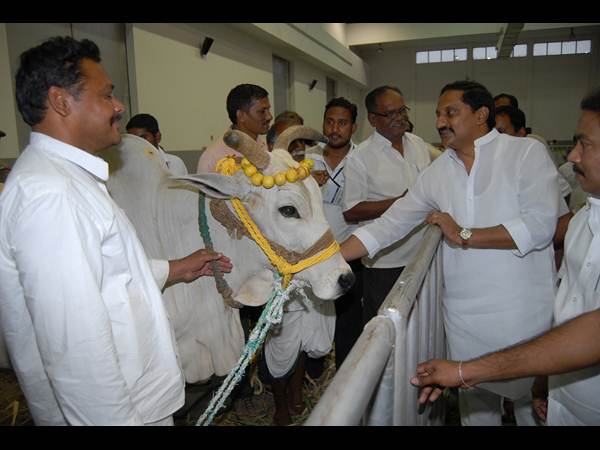 ఫొటోలు: కిరణ్ అప్పుడు సిగ్గరి, ఇప్పుడు ఇలా..