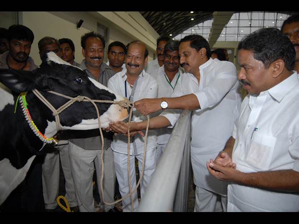 ఫొటోలు: కిరణ్ అప్పుడు సిగ్గరి, ఇప్పుడు ఇలా..