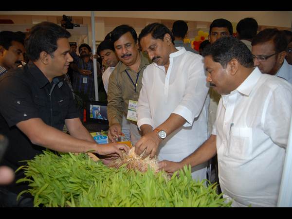 ఫొటోలు: కిరణ్ అప్పుడు సిగ్గరి, ఇప్పుడు ఇలా..