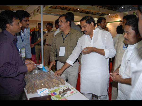 ఫొటోలు: కిరణ్ అప్పుడు సిగ్గరి, ఇప్పుడు ఇలా..