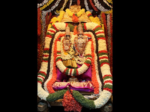 తెప్పపై శ్రీకృష్ణ స్వామి ధగధగ(పిక్చర్స్)