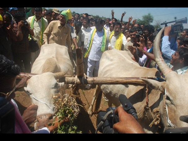 టిడిపి బోనమెత్తిన బాబు: వైయస్ రికార్డు బ్రేక్