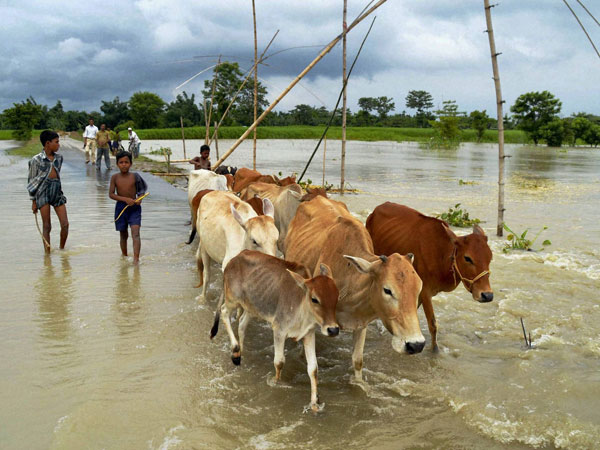 అస్సాం వరదలు