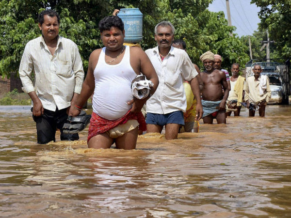 నీటిలో...