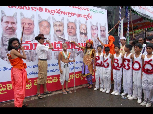 వీరు మన పిల్లులు!