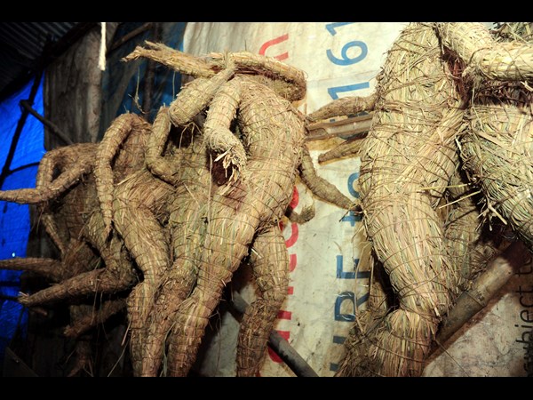 గడ్డి, బంక మట్టి గడ్డి, బంక మట్టి