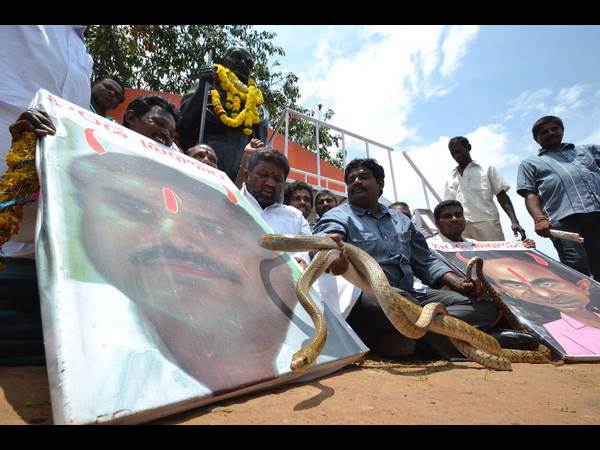 పాముతో నిరసన