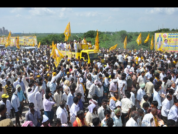 పసుపు రెపరెపలు