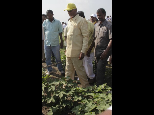 పరిశీలన