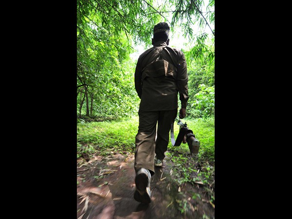 ఇలా అజ్ఝాతంలో..