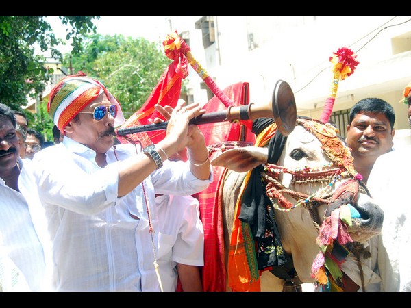 నెల్లూరులో గంగిరెద్దుతో వివేకా..