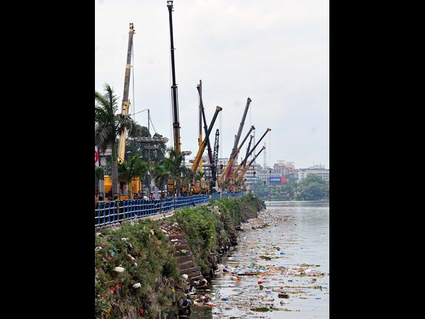క్రేన్స్