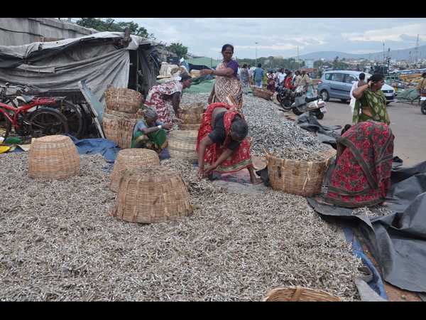 ఫైలిన్ 8