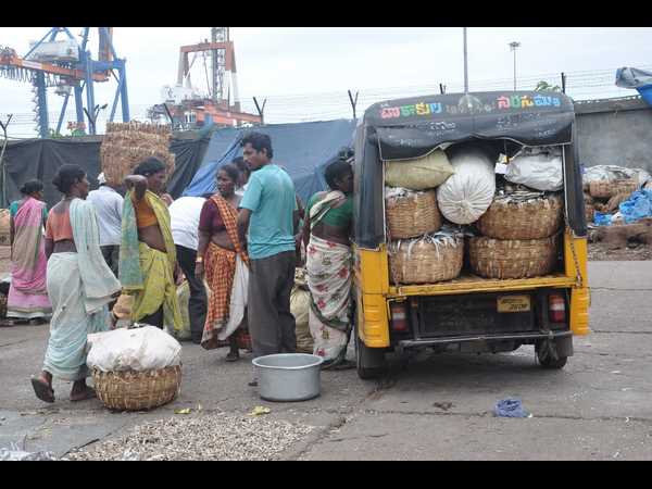 ఫైలిన్ 9