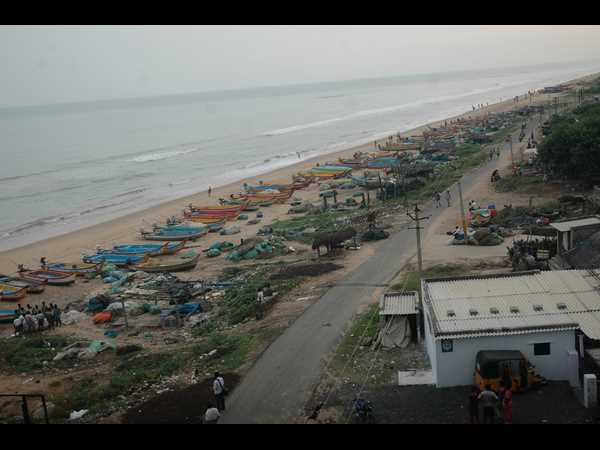 ఫైలిన్ 31