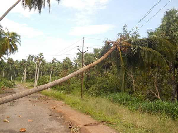 ఫైలిన్ 4