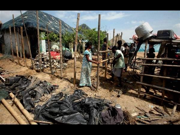 ఫైలిన్ 7