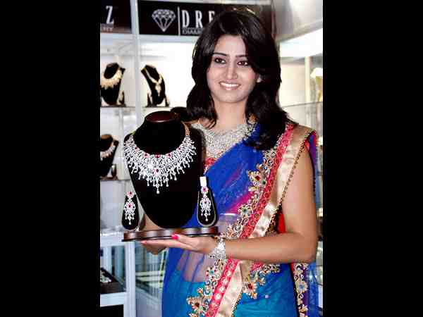 హైటెక్స్ 24