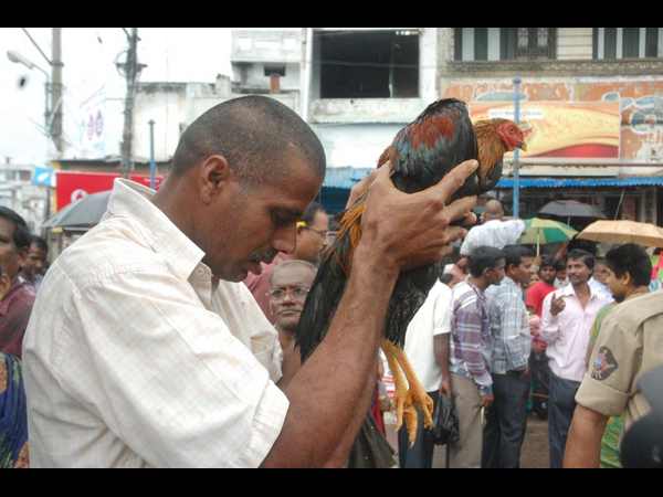 పైడితల్లి 20