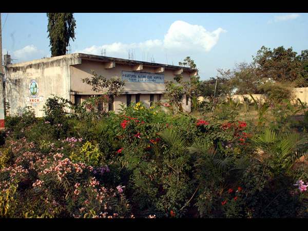 లోనంతా పచ్చటి వాతావరణం