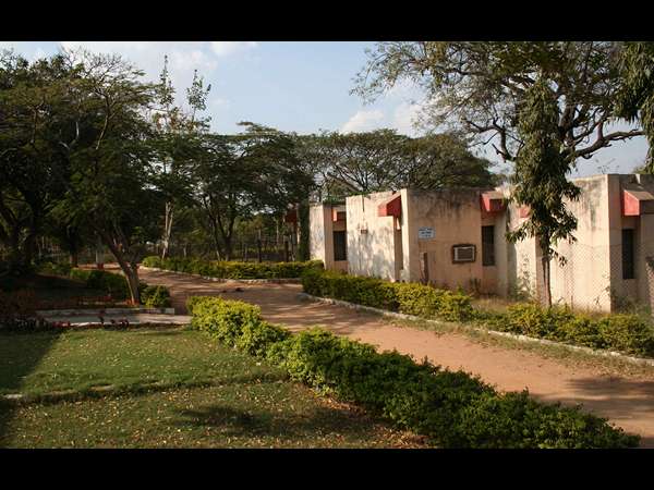 కాటేజీలు..