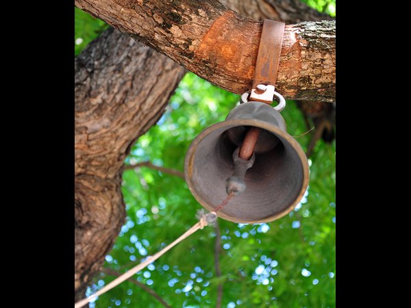 బెల్లు ఇలా...