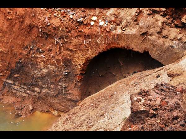 అల్వాల్ 8