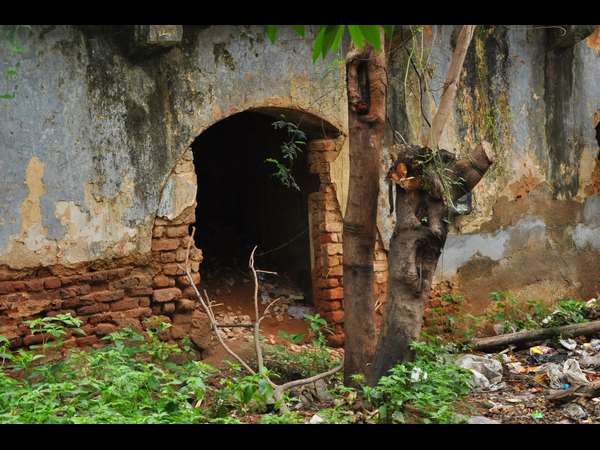 అల్వాల్ 10