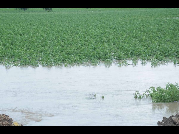 వర్షం 5