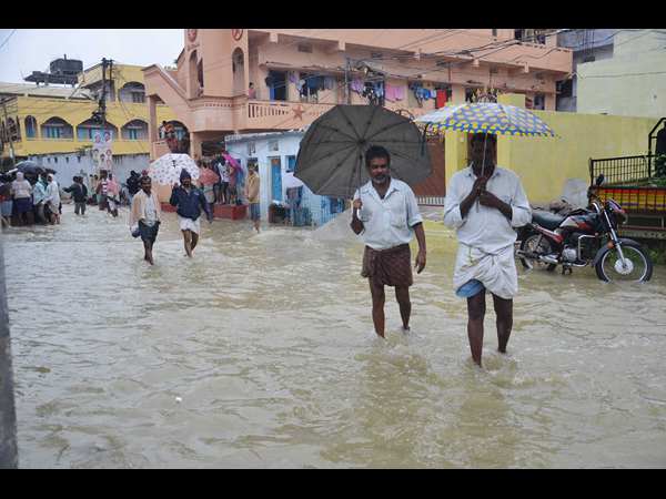తోయాల్సిందే..