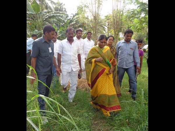 విజయమ్మ 4
