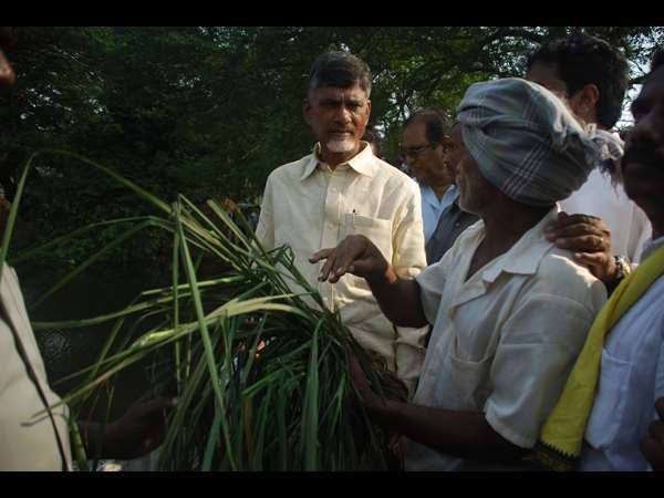చంద్రబాబు 5