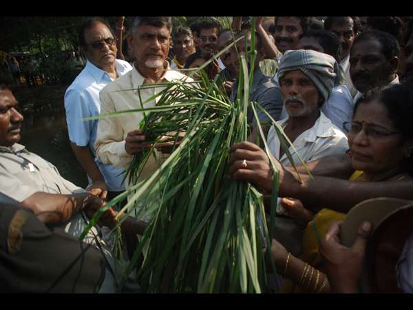 చంద్రబాబు 7