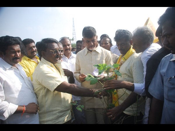 చంద్రబాబు 15