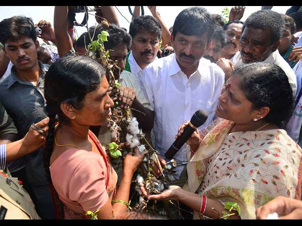 విజయమ్మ 4