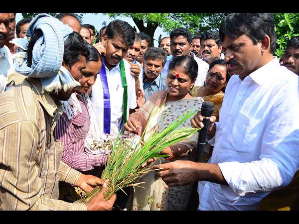 విజయమ్మ 5