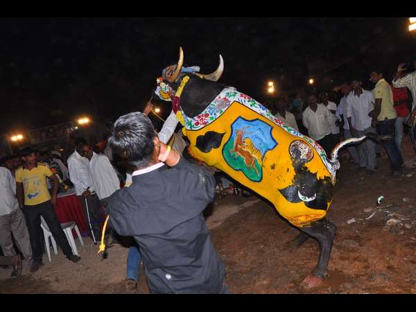 సాహసం ఇలా..