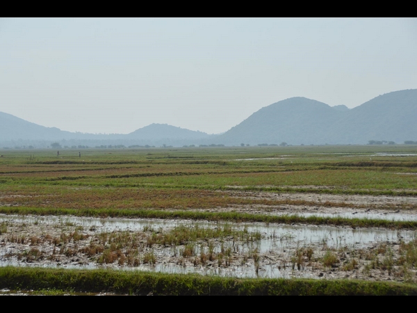 ఫైలిన్ 1 ఫైలిన్ 1