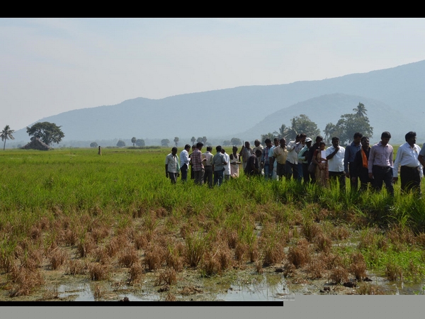 ఫైలిన్ 9 ఫైలిన్ 9