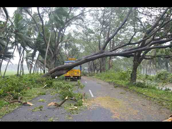 చెట్లు విరిగి ఇలా