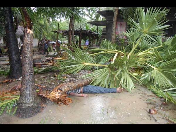 కొబ్బరి తోట నేలపాలు..