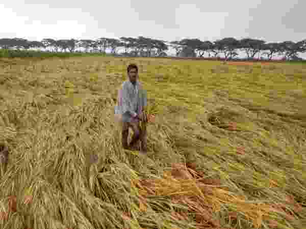 రైతు విలవిల..