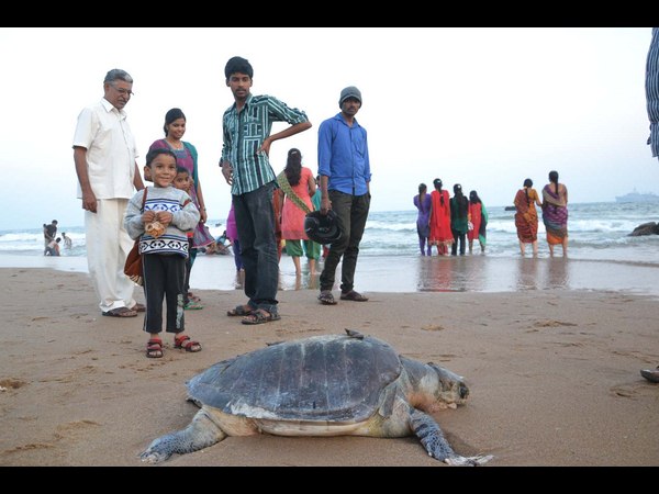 లెహర్ 2