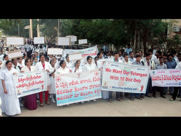 తెలంగాణ వైద్యులు..