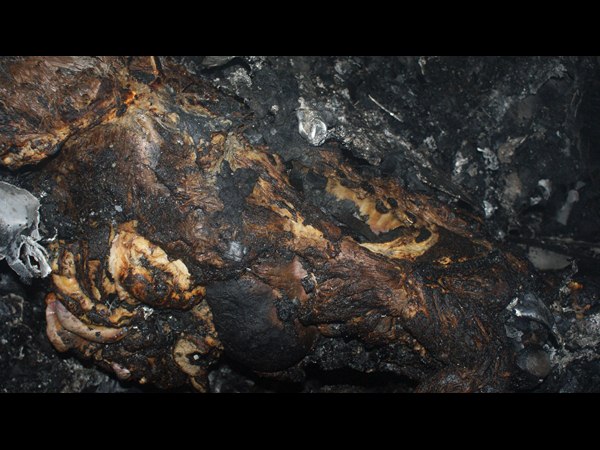 గుర్తు పట్టరానంతగా..