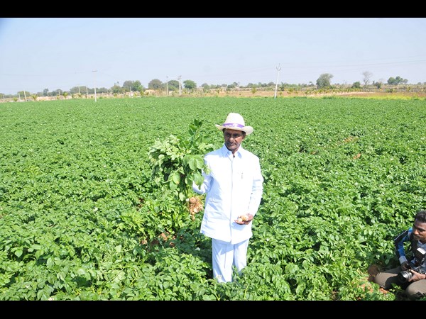 కెసిఆర్ 13