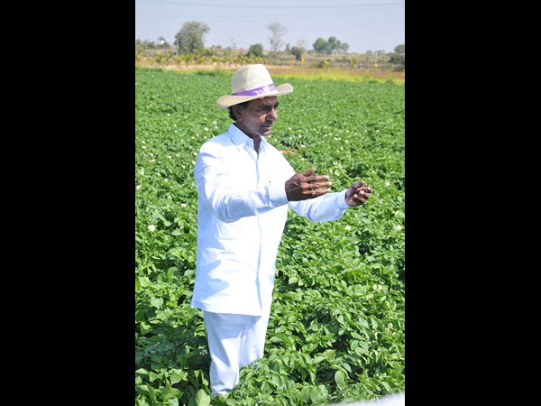 కెసిఆర్ 14