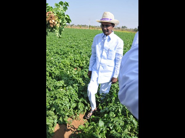 కెసిఆర్ 15