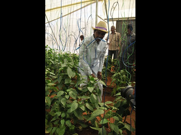 కెసిఆర్ 16